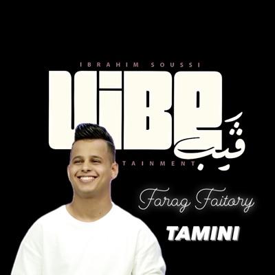 TAMINI - طمني (feat. Farag Faitory) - Single