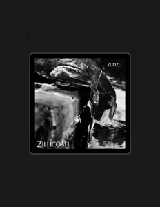 Zillicoah सुनें, म्यूज़िक वीडियो देखें, बायो पढ़ें, दौरे की तारीखें और बहुत कुछ देखें!