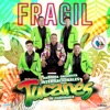 Fragil - Single