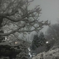 Sleep Paralysis - Single - Daelus