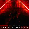 Like a Dream