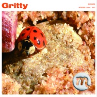 Gritty - Single - Miso