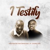 I Testify (feat. Jumbo Aniebiet) - Single