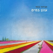 יש בך artwork