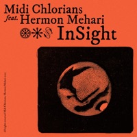 InSight (feat. Hermon Mehari) - Single - Midichlorians