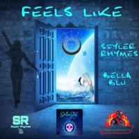 Feels Like (feat. Bella blu) - Single - StylerRhymes