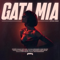 Gata Mia (feat. Archundia & Baby Milosz) [DRAMEK Remix] - Single - DRMK