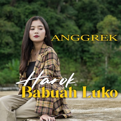 Harok Babuah Luko - Single