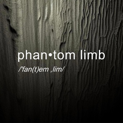 Phantom Limb - Single