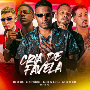 Cria de Favela (feat. Favela No Beat & Zoi de Gato)