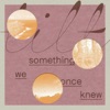 something we once knew artwork