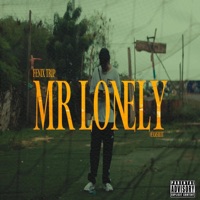 MR LONELY - Single - Fenix Trip