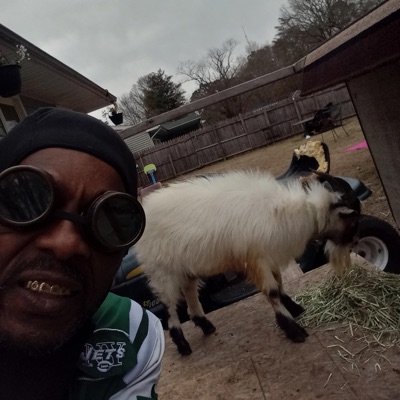 Zoe the Haitian connect