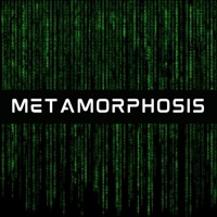 Metamorphosis - Single - Jodie B