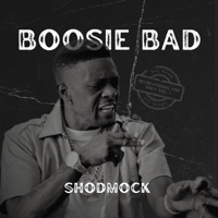 Boosie Bad (feat. Shodmock) - Single - Rec Room All Stars