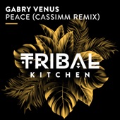 Peace (CASSIMM Extended Remix) artwork