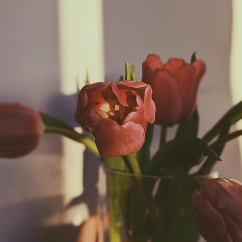 Aesthetic Sounds
