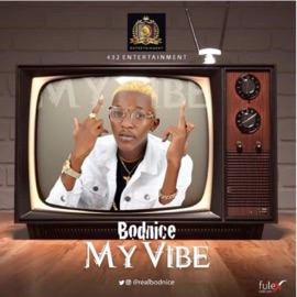 My Vibe Bodnice