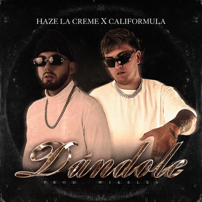 DANDOLE! - Single