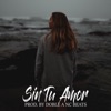 Sin Tu Amor (Instrumental) - Single