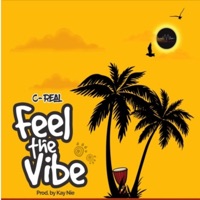 Feel the Vibe - Single - C-Real MC