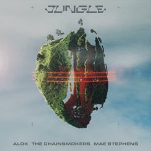 Alok, The Chainsmokers & Mae Stephens - Jungle - Line Dance Musique