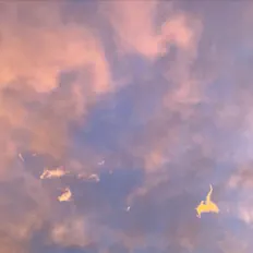 Ouve Troncalli, vê vídeos de música, lê a biografia, vê as datas da digressão e muito mais!