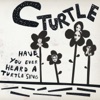 Have You Ever Heard A Turtle Sing? - Single