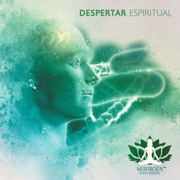 Despertar Espiritual:Eequilibrar la Energía, Sanar la Mente y el Alma