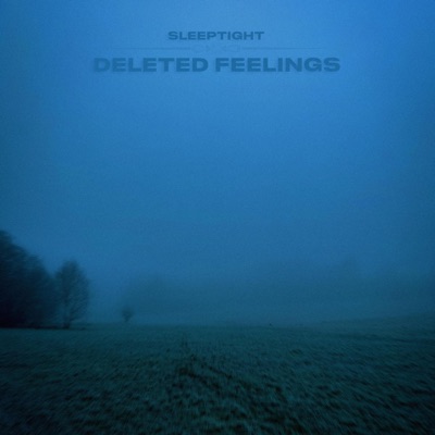 Deleted Feelings - Single