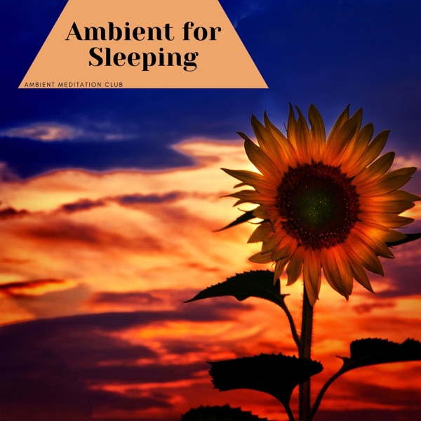 Ambient for Sleeping
