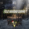 Feliz Navidad Cariño - Single