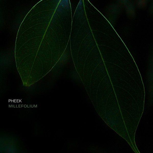Millefolium