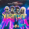 Sugarcane (feat. King Promise) [Remix]