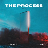 The Process, Vol. 2 - EP - Djaykams