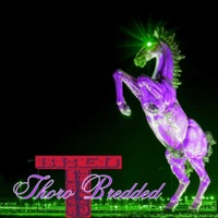 ThoroBredded - Single - Ray Ray