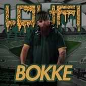 Bokke artwork