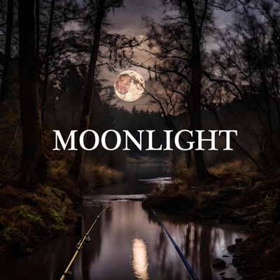 Moonlight (feat. Dave Fio & South North Southwest) - Single