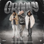Groovy (feat. PanchoGM & Spank Nitti James) - Single