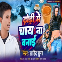 Dhodi Me Chay Na Banai - Single - Shahid Shams
