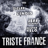Triste France (feat. Jeff Le Nerf, Zicler & L'Indis) - Single - Mister Yelo