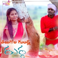 Telugola Gundla Durga - Single - Shaikpally Narsimulu