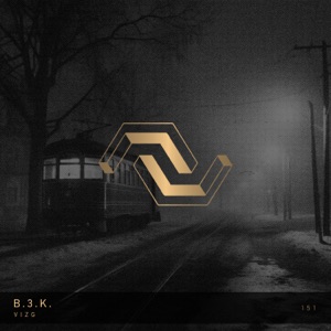 Vizg - Single