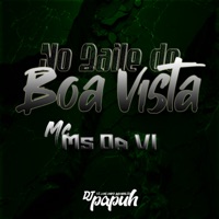 No Baile do Boa Vista - Single - DJ Papuh & Mc Ms Da Vl