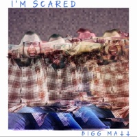 I'm Scared - Single - BiGG MaTT