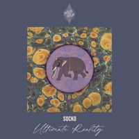 Ultimate Reality - Single - Socko