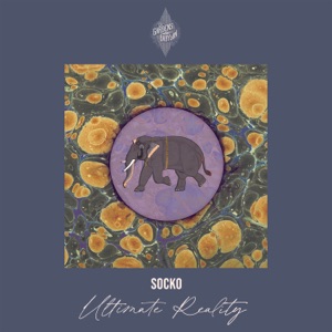 Ultimate Reality - Single