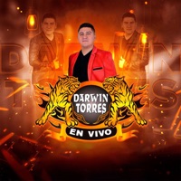 ADIOS AL AMOR
