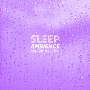 Sleep Ambience Rain Sounds For Sleeping - EP