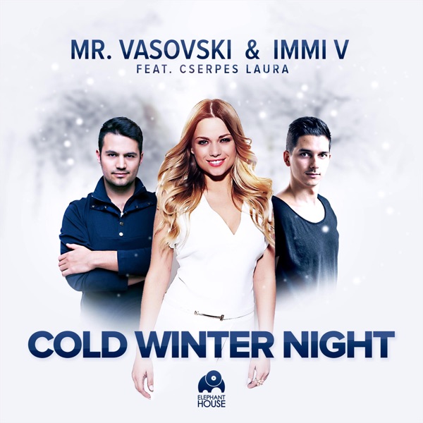 Cold Winter Night (feat. Cserpes Laura) - Single